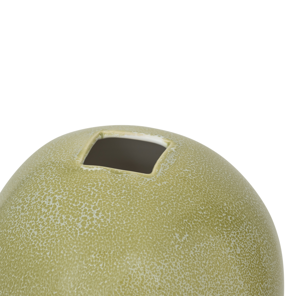 Urban Nature Culture Vaas [Esfera]