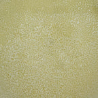 Urban Nature Culture Vaas [Esfera]