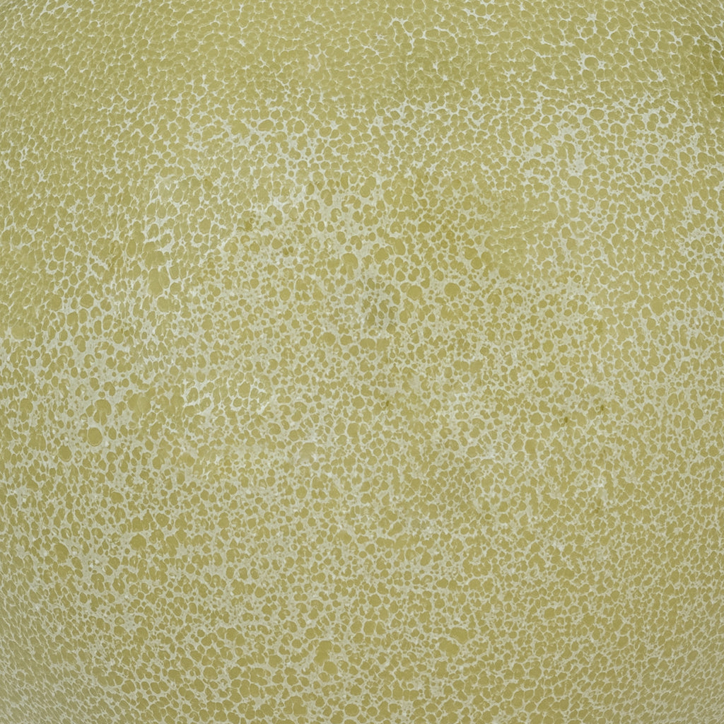 Urban Nature Culture Vaas [Esfera]