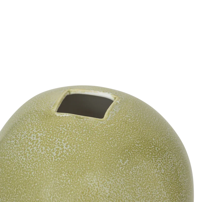 Urban Nature Culture Vaas [Esfera]