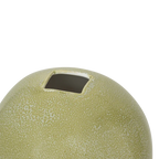 Urban Nature Culture Vaas [Esfera]